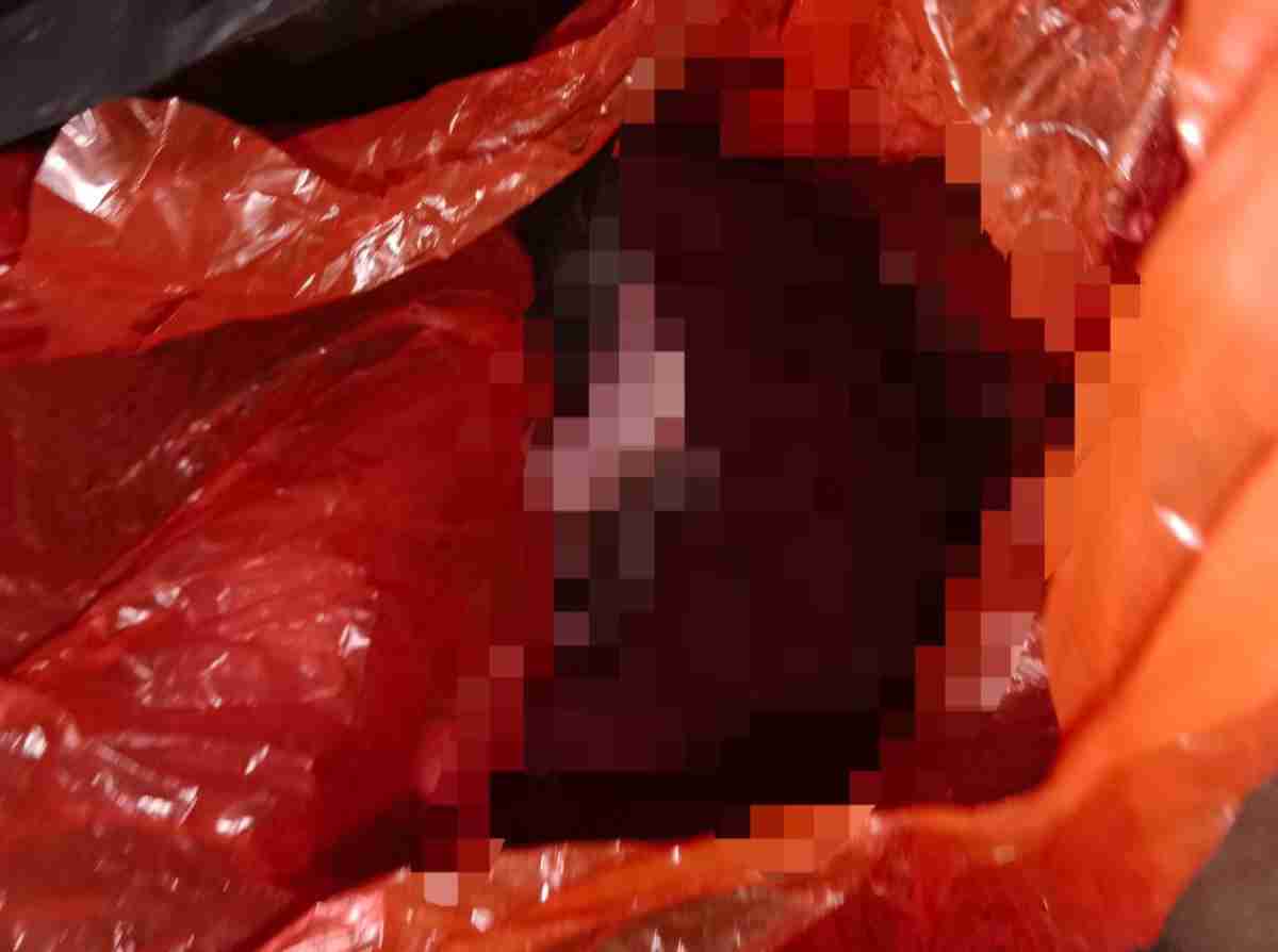 Polres Tangsel Tindaklanjuti Laporan Penemuan Mayat Bayi di Babakan Legok Polres Tangsel Tindaklanjuti Laporan Penemuan Mayat Bayi di Babakan Legok