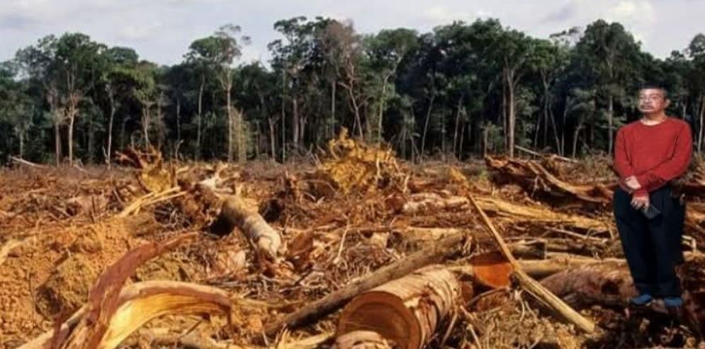 Deforestasi Turun? Aktivis TRAMP: ‘Jangan Tertipu, Hutan Primer Kita Masih Hancur!’ Deforestasi Turun? Aktivis TRAMP: ‘Jangan Tertipu, Hutan Primer Kita Masih Hancur!’