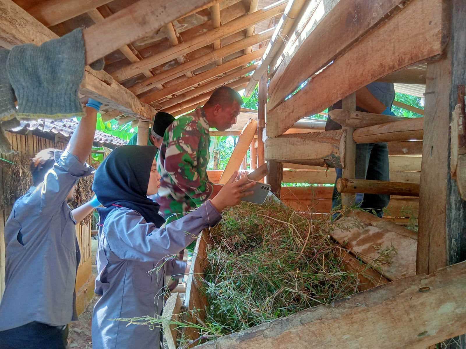 Pelayanan Kesehatan Hewan Jadi Sasaran non Fisik TMMD ke-117 Pelayanan Kesehatan Hewan Jadi Sasaran non Fisik TMMD ke-117