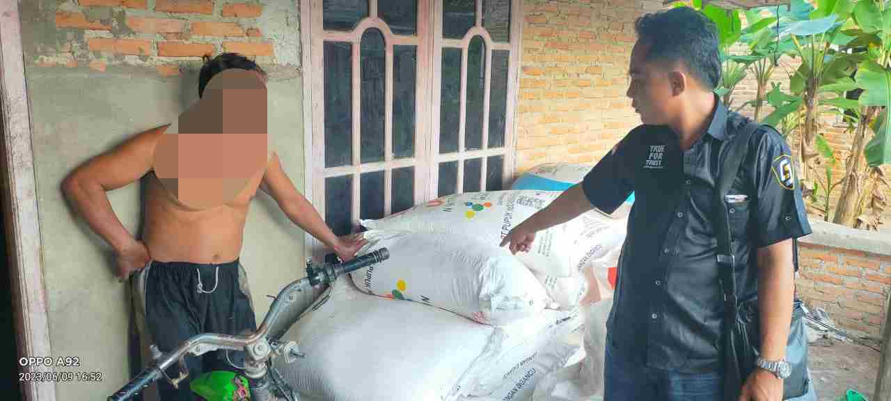 Pengecer pupuk Pengecer pupuk