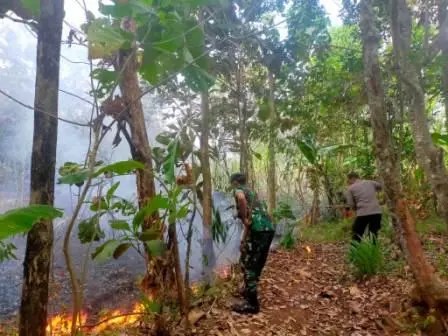 Kebakaran Hutan dan Lahan Kebakaran Hutan dan Lahan