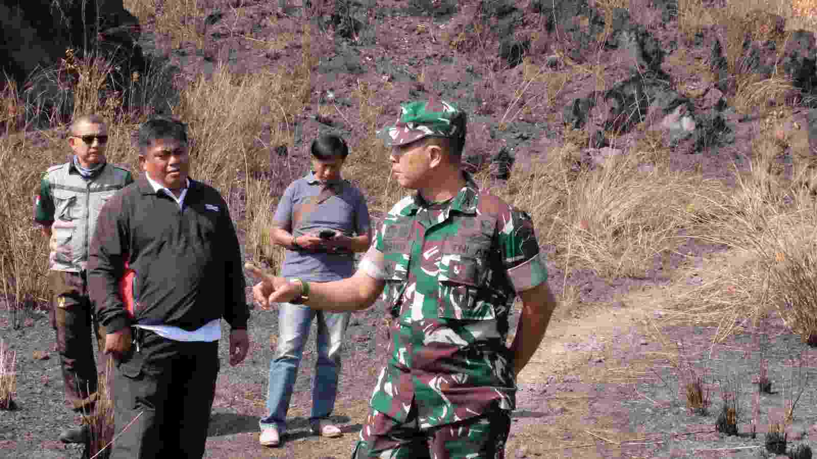 Kebakaran hutan Kebakaran hutan