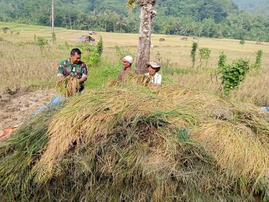 ketahanan pangan ketahanan pangan