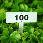 The Top Tech Cities in the US: Ranking 100 Cities in 2025 – Cloudwards.net The Top Tech Cities in the US: Ranking 100 Cities in 2025 – Cloudwards.net