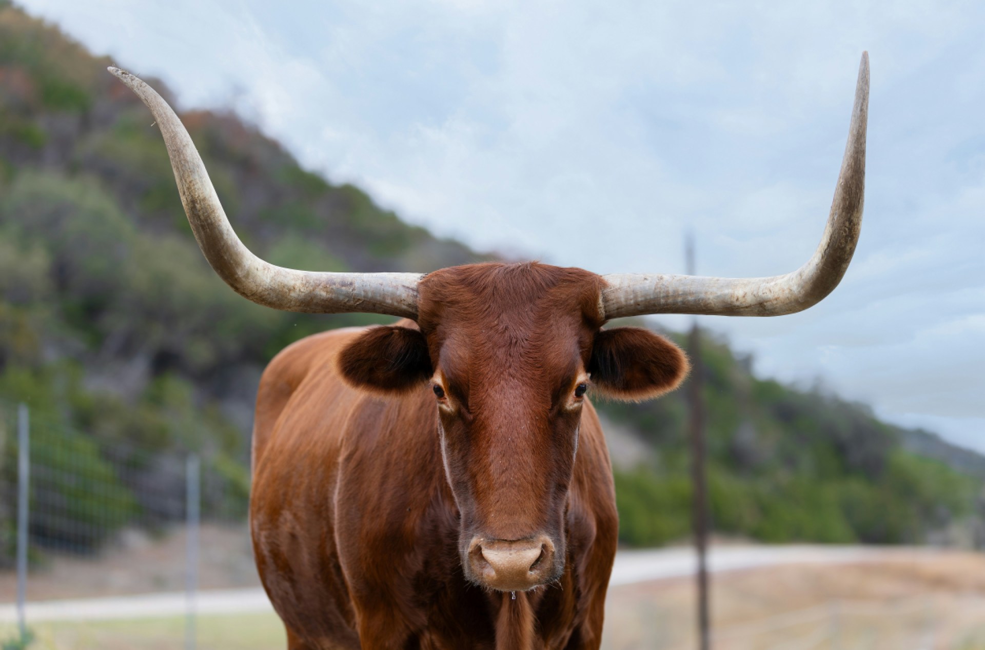 ‘Roast Me’ trend blows up as ChatGPT mocks users — and we take on Texas cities – San Antonio Express-News ‘Roast Me’ trend blows up as ChatGPT mocks users — and we take on Texas cities – San Antonio Express-News