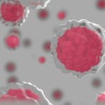 Artificial intelligence predicts kidney cancer therapy response: Newsroom – UT Southwestern Medical Center Artificial intelligence predicts kidney cancer therapy response: Newsroom – UT Southwestern Medical Center