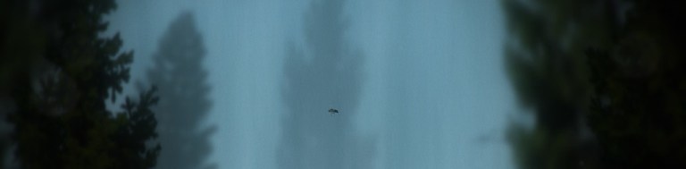 The Plan Review The Plan Review