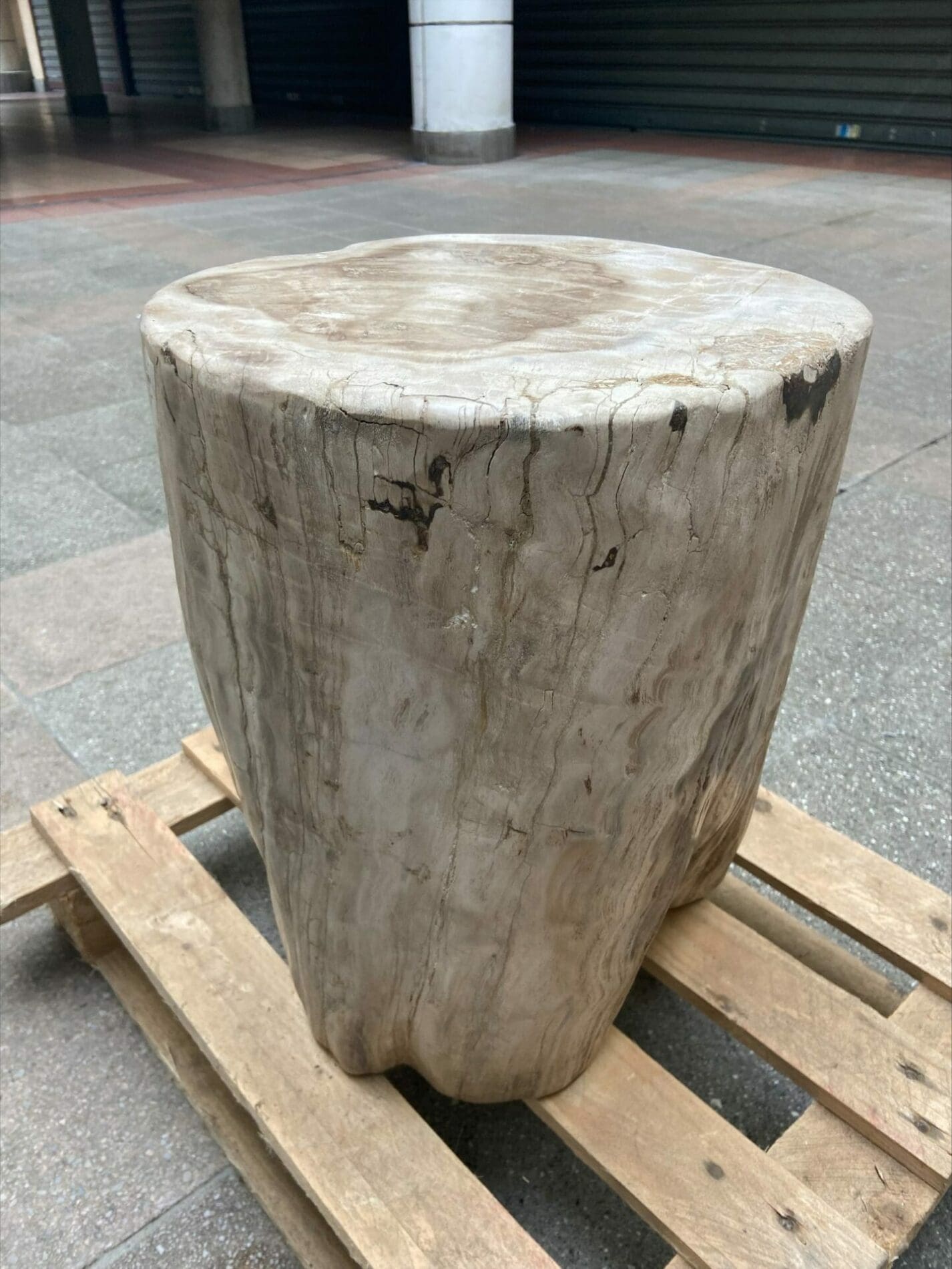 Bois pétrifié 2 – Période Trias