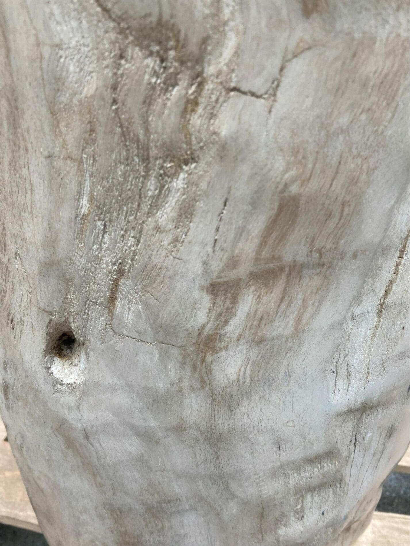 Bois pétrifié 2 – Période Trias