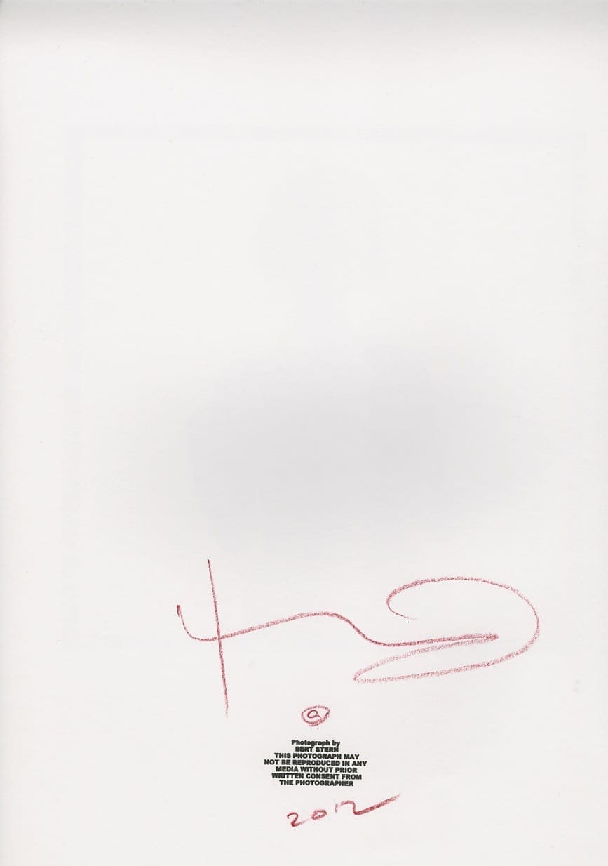 Bert Stern – Marilyn Monroe nude in the fascia scarf