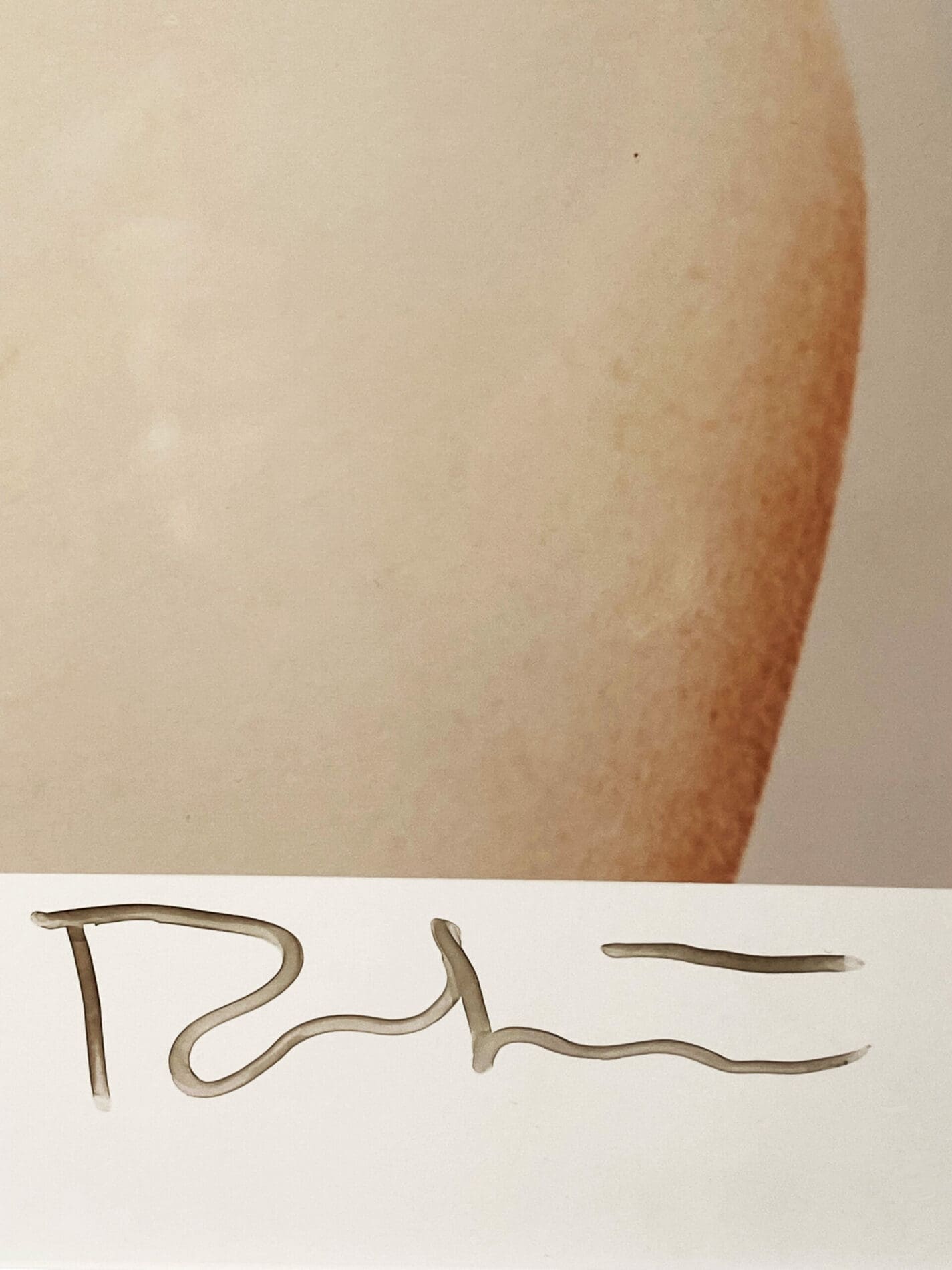 バート・スターン - マリリン・モンローの写真 | The AuctionLab