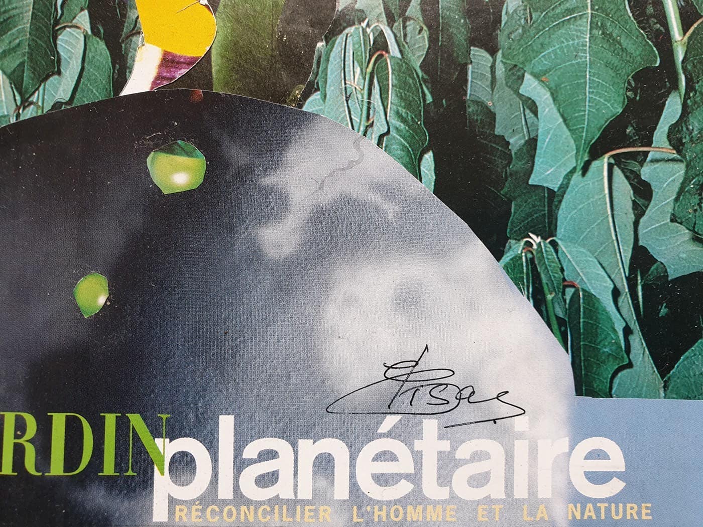 Elisa Casbas – Le jardin planétaire – 2018