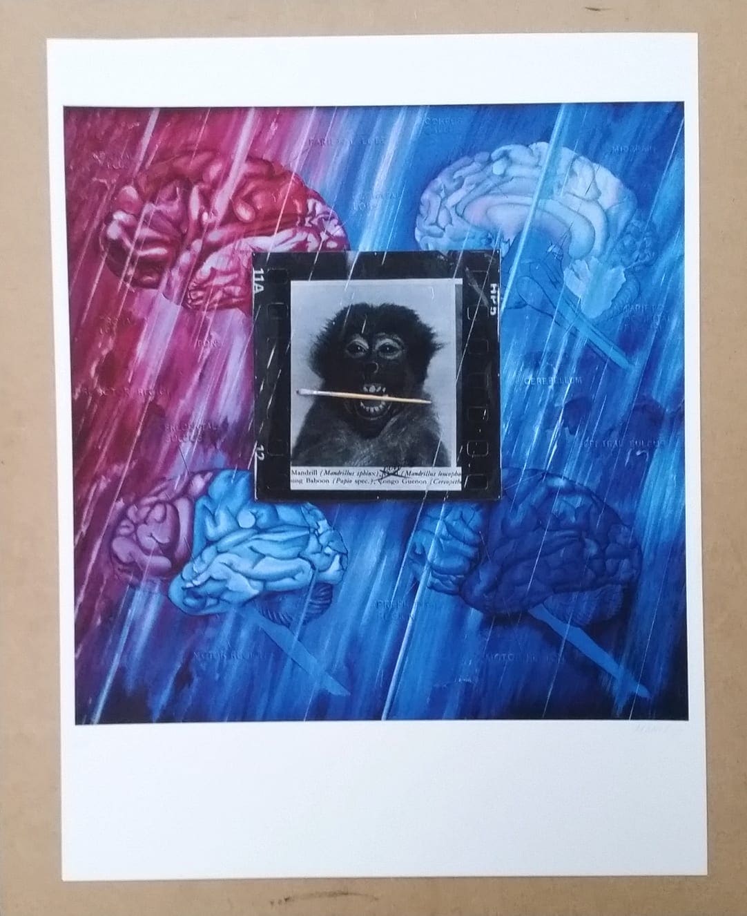 Jacques MONORY – Monkey – 1980