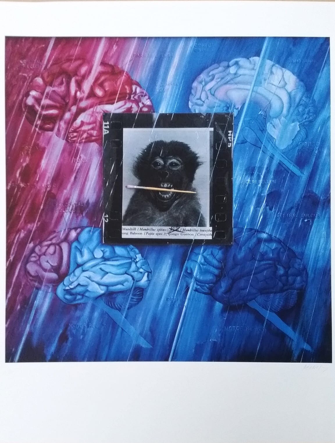 Jacques MONORY – Monkey – 1980