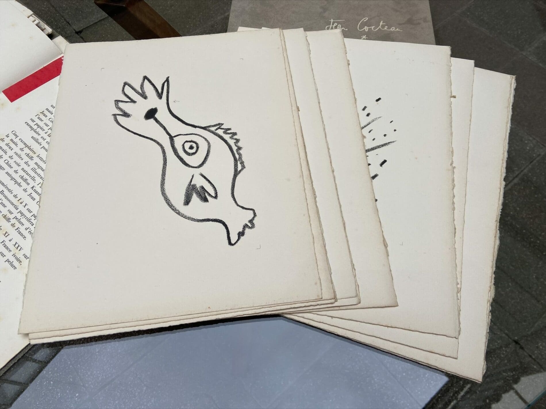Jean Cocteau et Pablo Picasso Portfolio « Picasso de 1916 a 1961 »