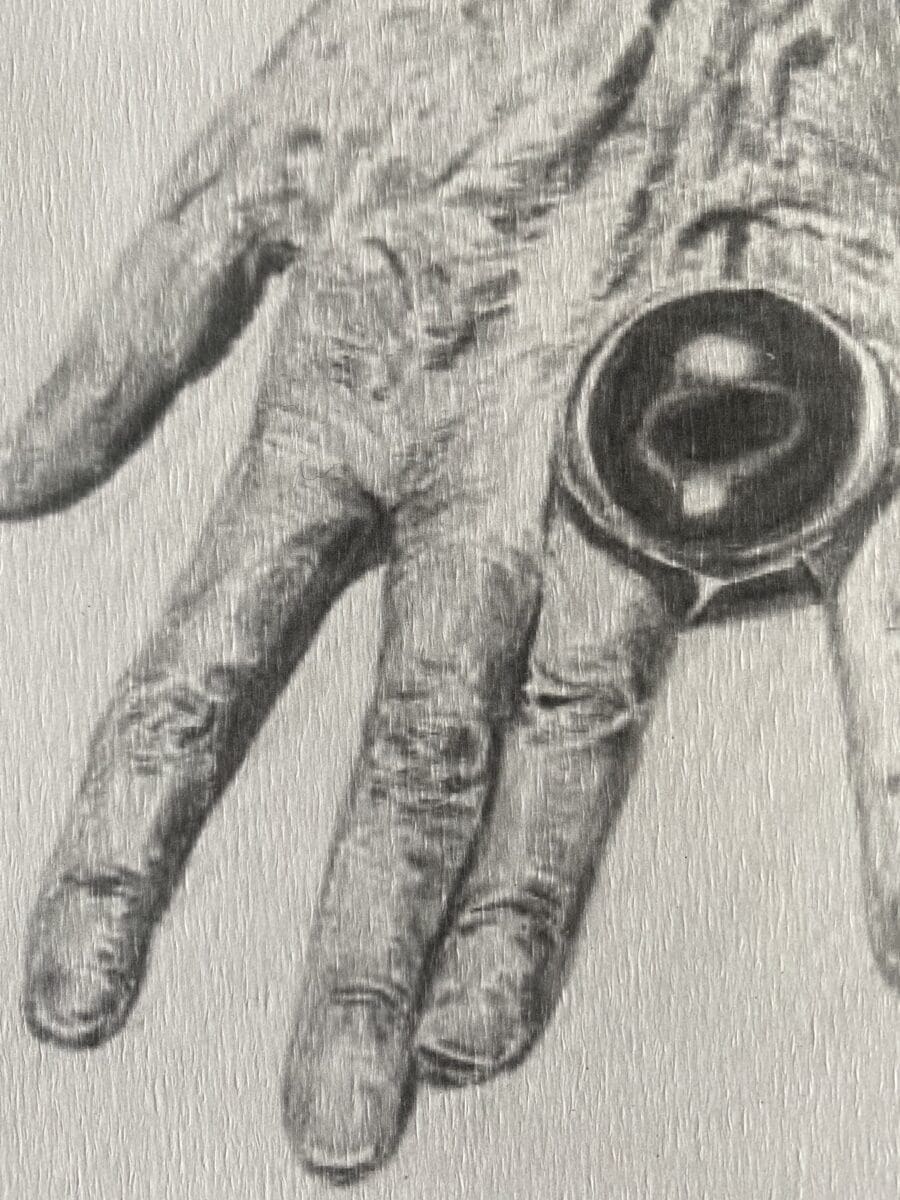Judith Prigent – «  Les Mains de Charlotte »