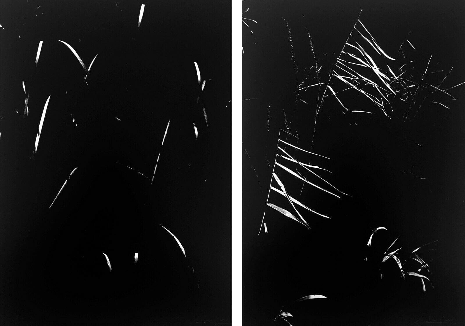 Lucien CLERGUE – Camargue secrète -1976