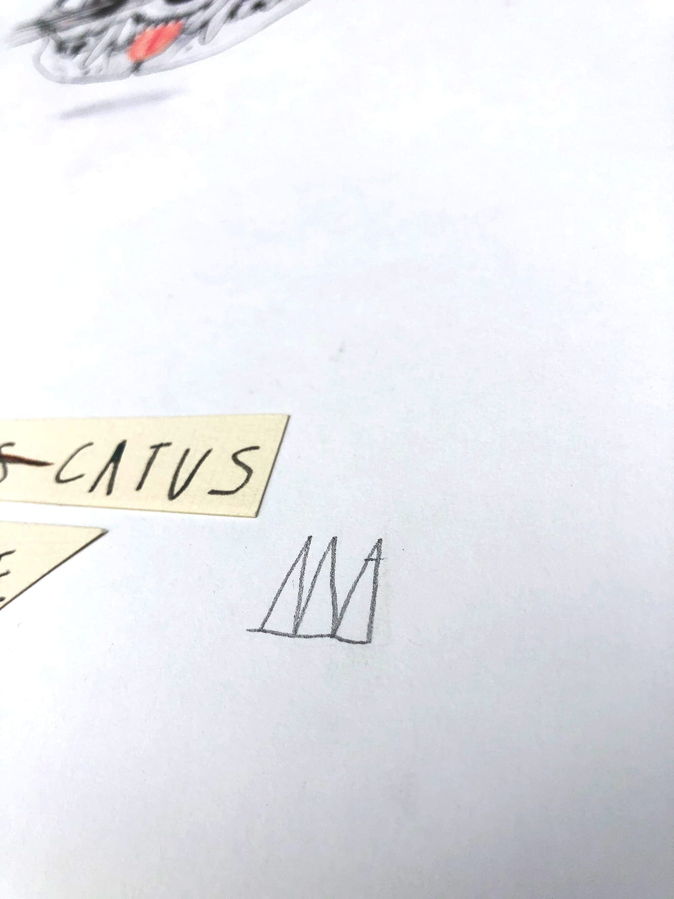 Mateo ANDREA – Felis Catus – 2020 – Dessin