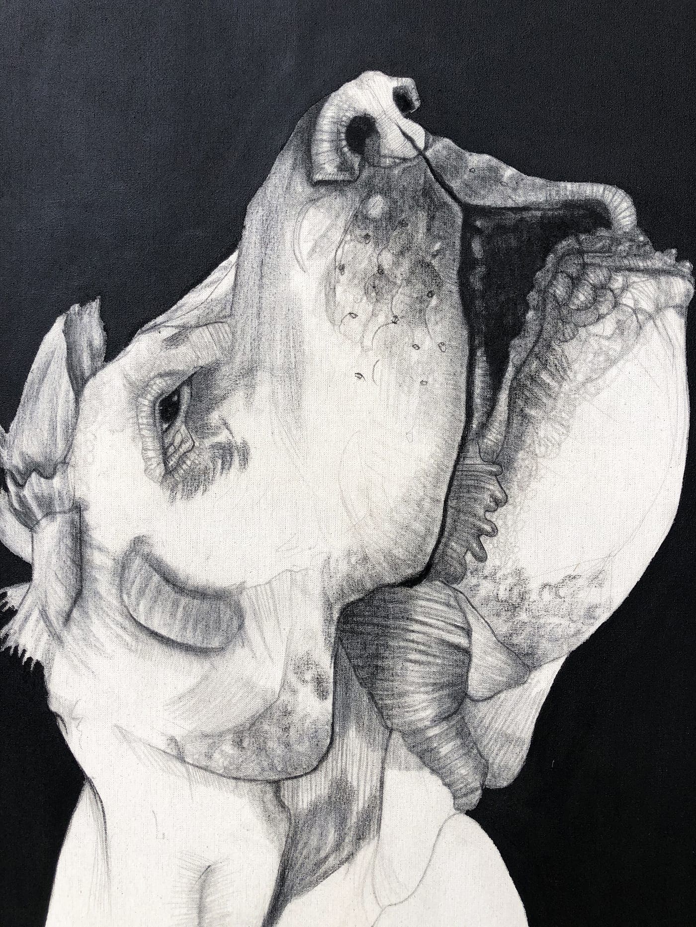 Mateo ANDREA – Perrito Señor – 2015 – Technique mixte sur toile