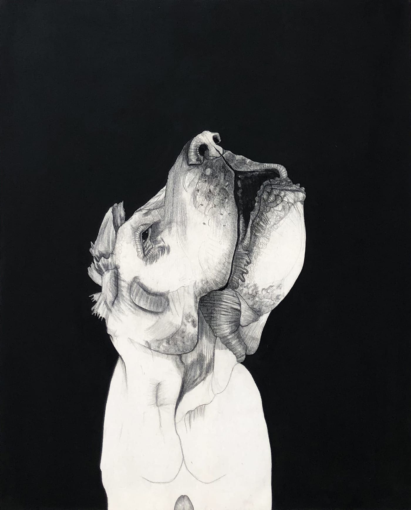 Mateo ANDREA – Perrito Señor – 2015 – Technique mixte sur toile