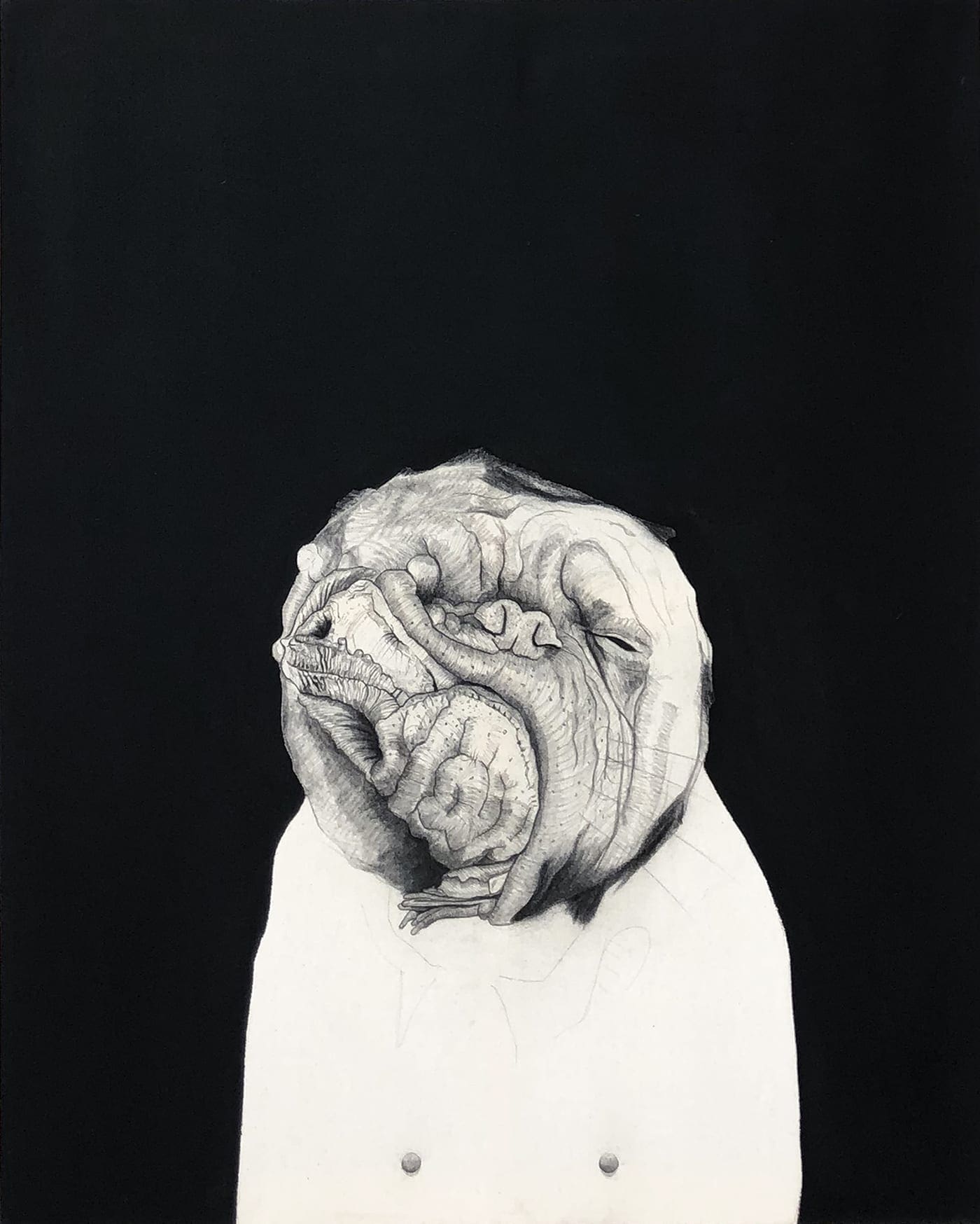 Mateo ANDREA – Perrito Señora – 2014 – Technique mixte sur toile