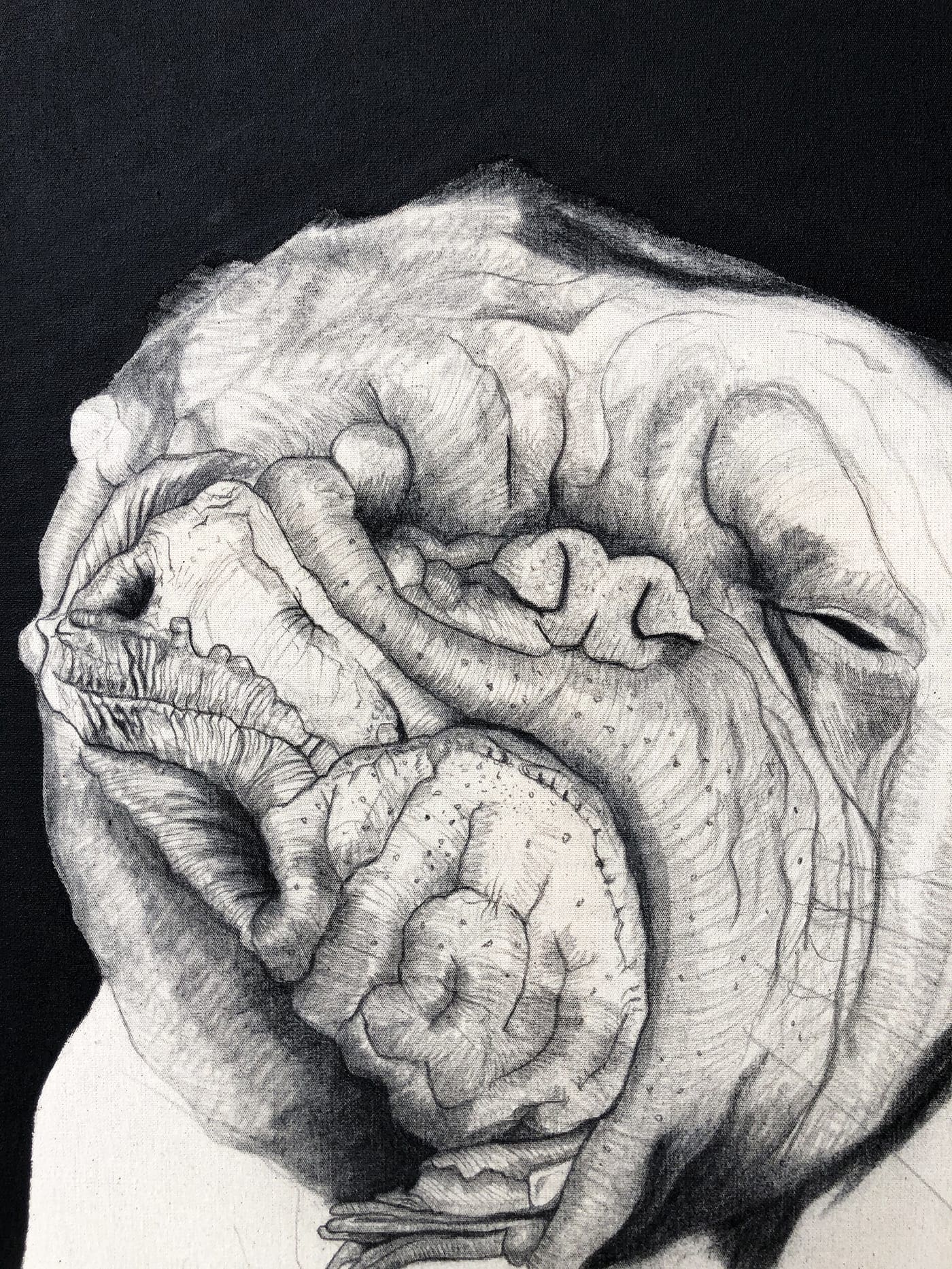 Mateo ANDREA – Perrito Señora – 2014 – Technique mixte sur toile