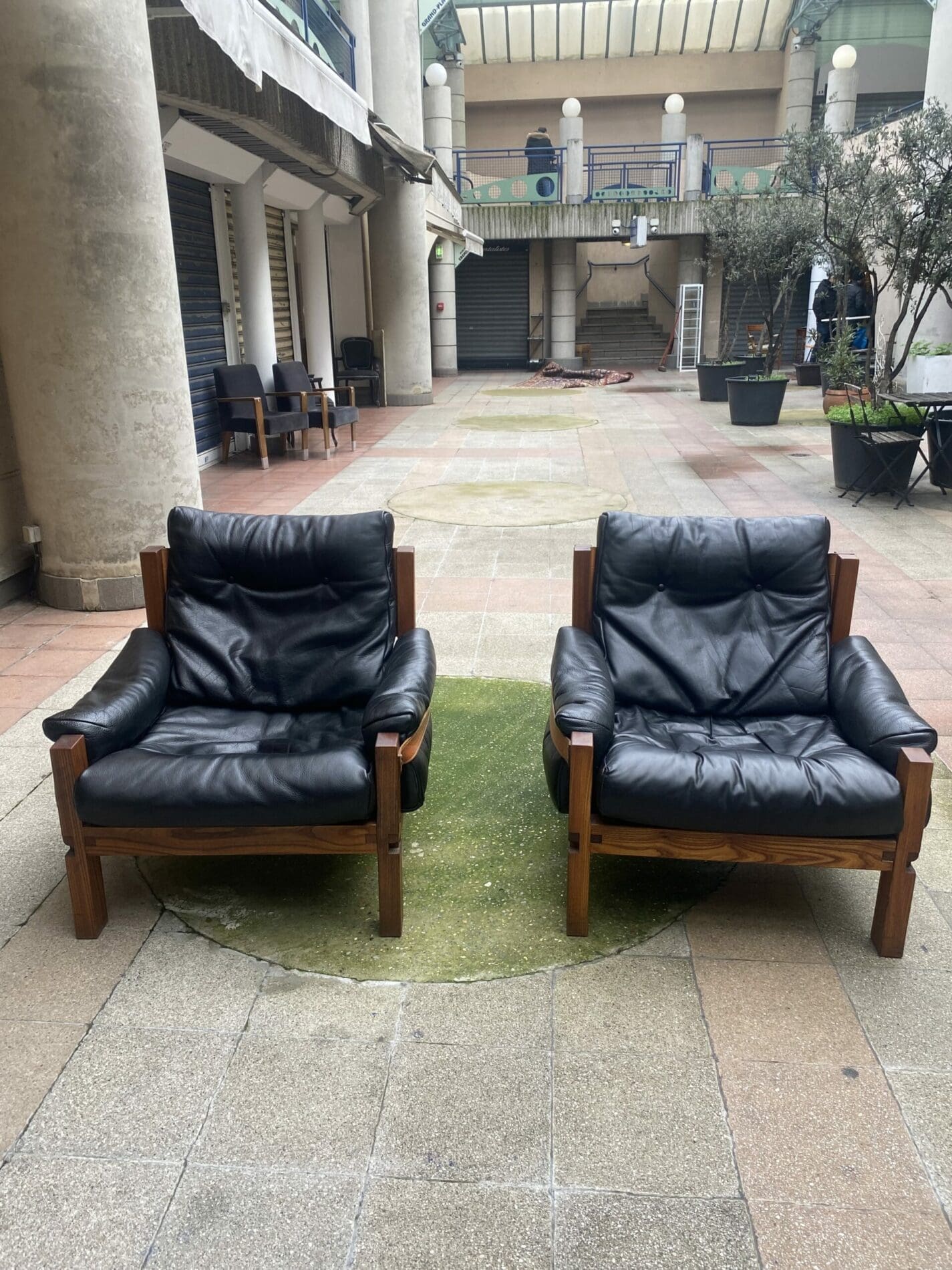 Fauteuils Design Pierre Chapo S15 en Orme et Cuir
