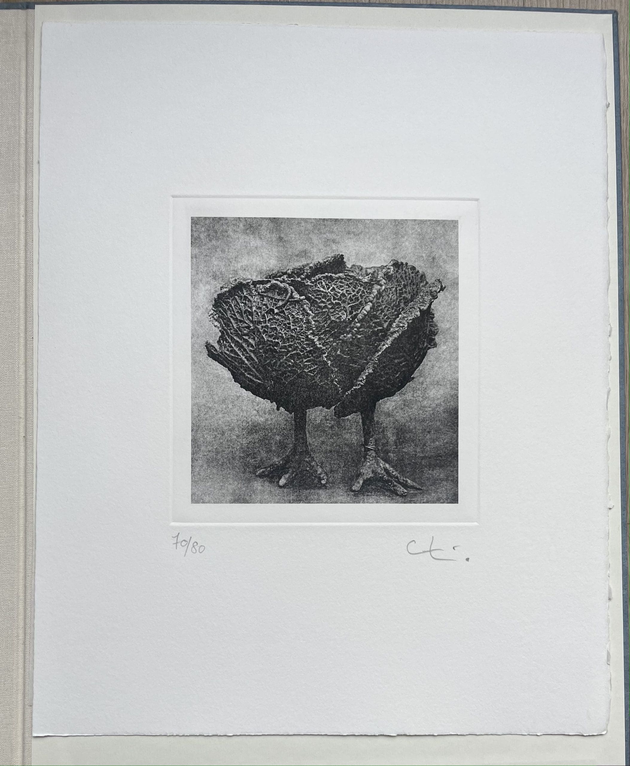 Claude Lalanne « Choupatte » – Tirage Signé Édition Limitée (70/80)