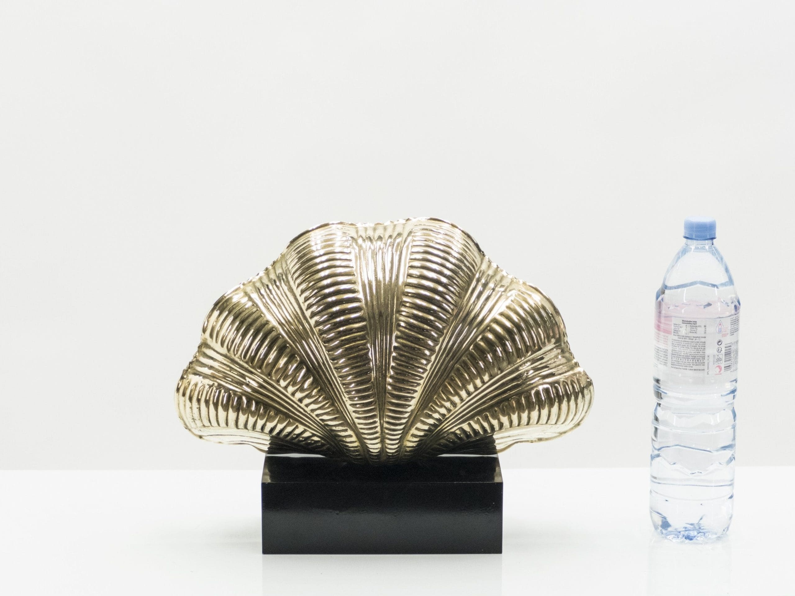 Paire de Lampes de Table Coquille en Laiton Massif des Années 1960
