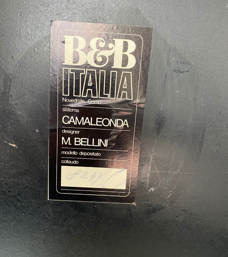 Canapé Camaleonda de Mario Bellini : Édition Originale 1972