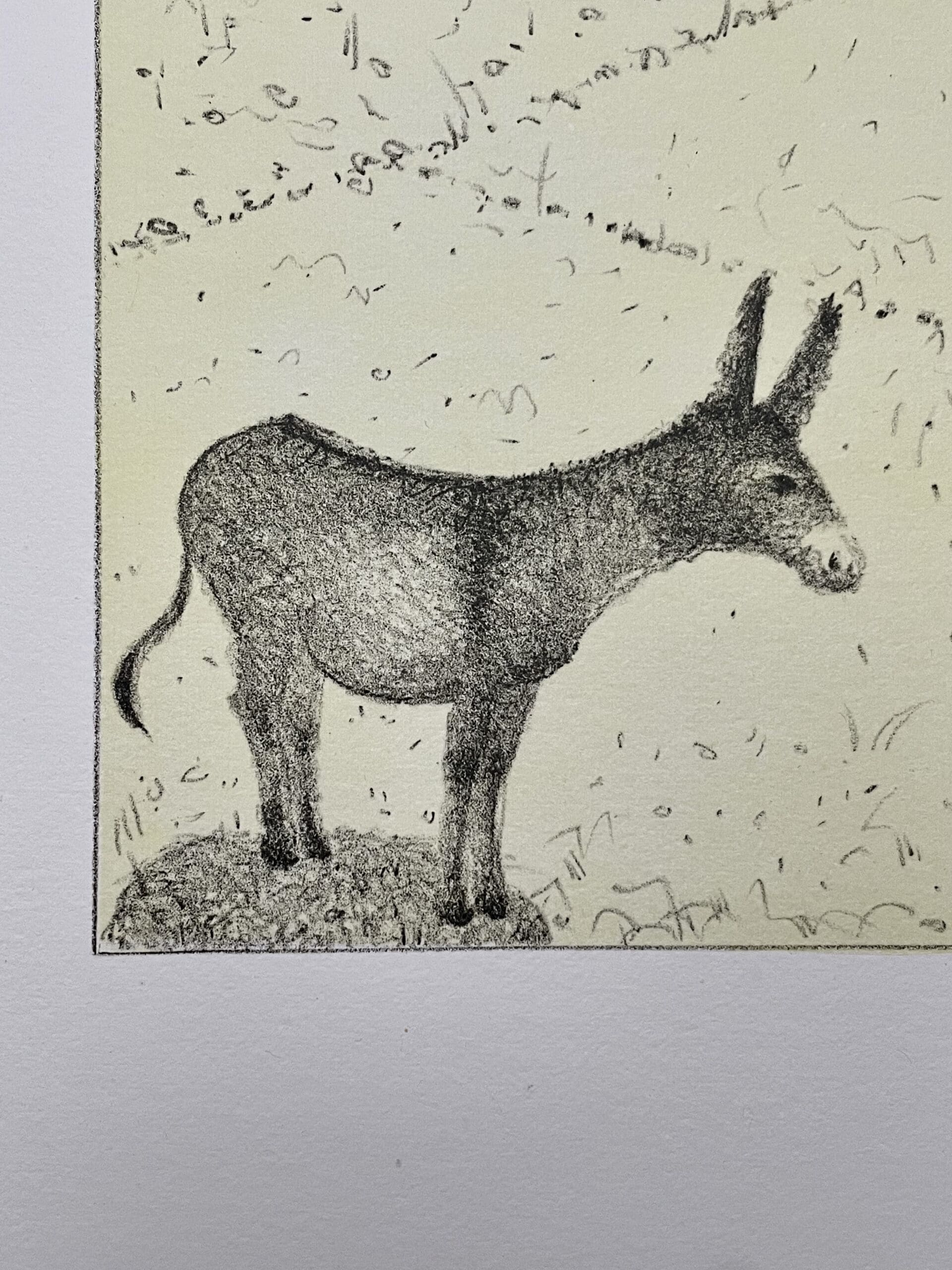 « Les Ânes » par François-Xavier Lalanne : Une Réflexion Poétique sur l’Intelligence Animale