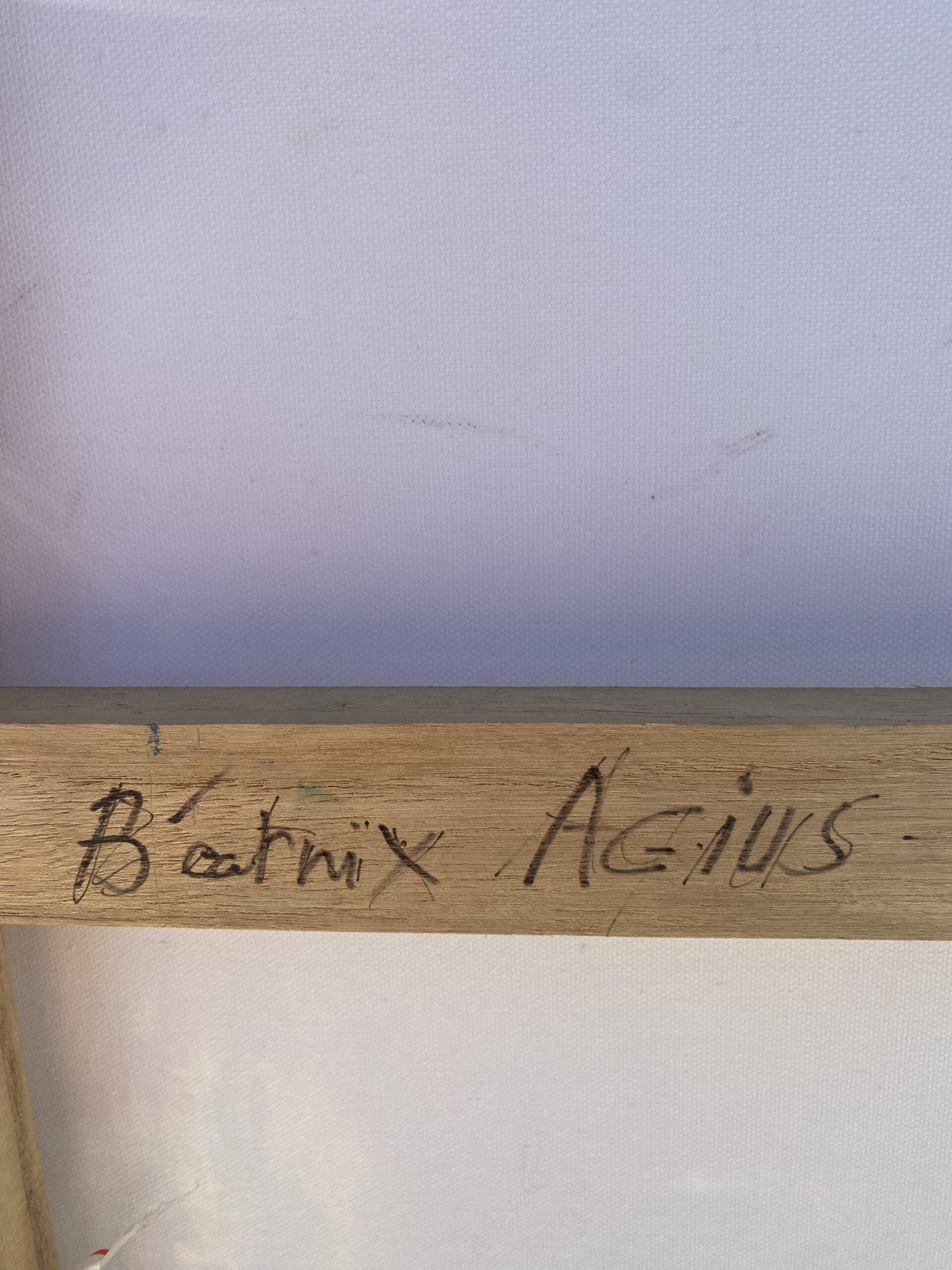 Béatrix Agius – « L’Arbre Foudroyé » (2020)