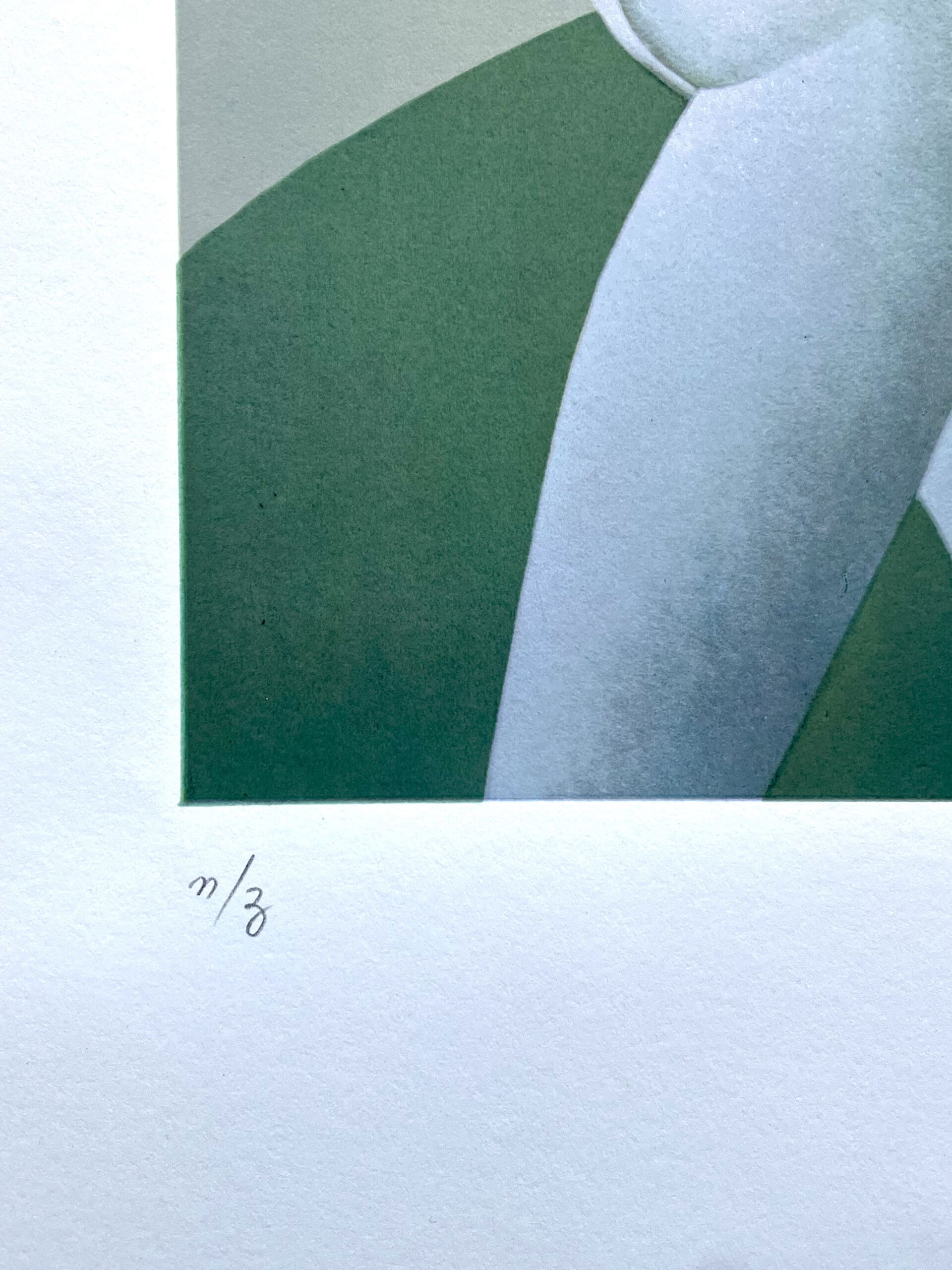 Sérigraphie Rare de Leonor Fini, Circa 1970 – La Leçon de Botanique
