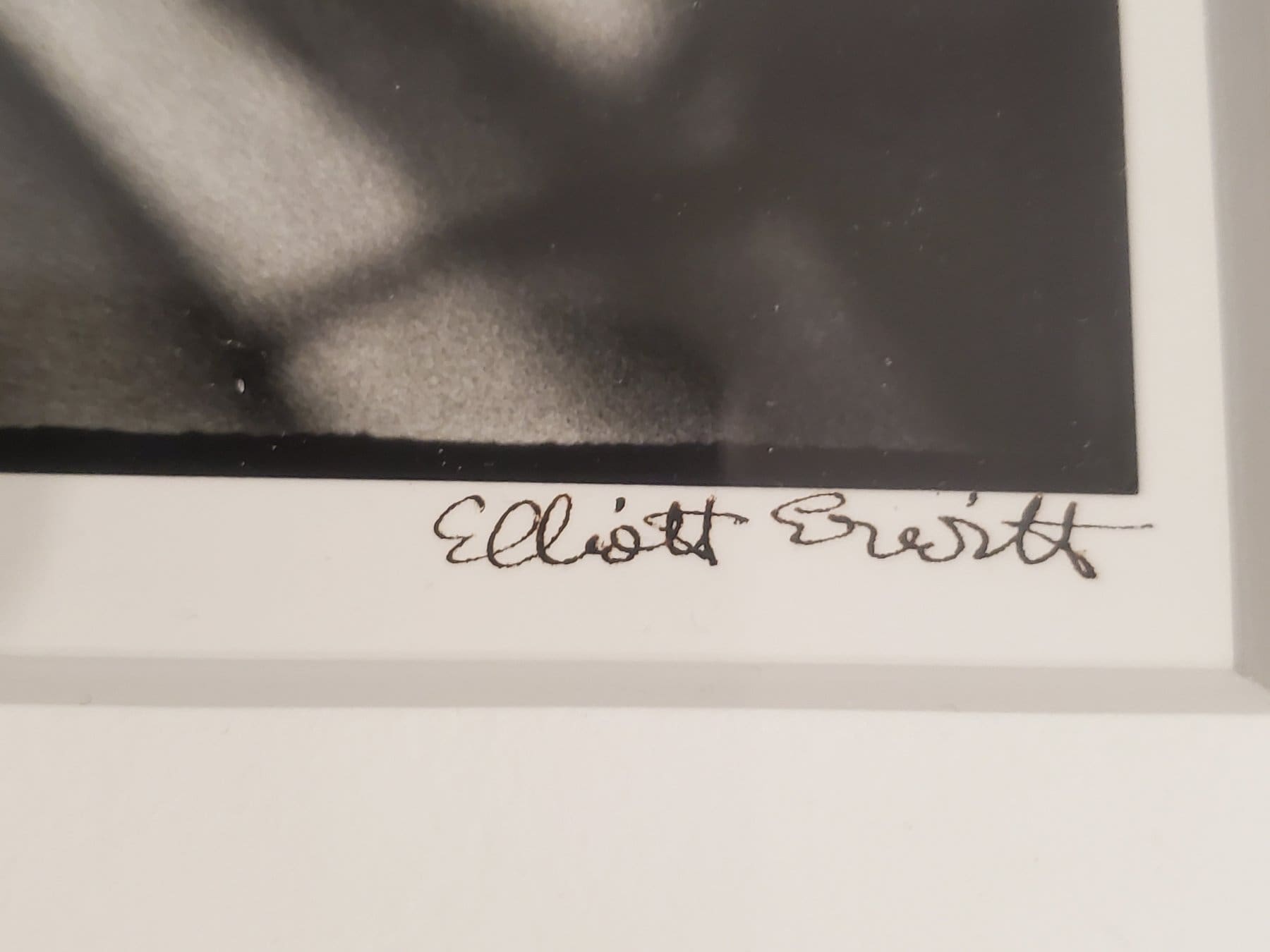 Elliott Erwitt – California Kiss, 1955 – Photographie argentique signée (11 x 14 in)