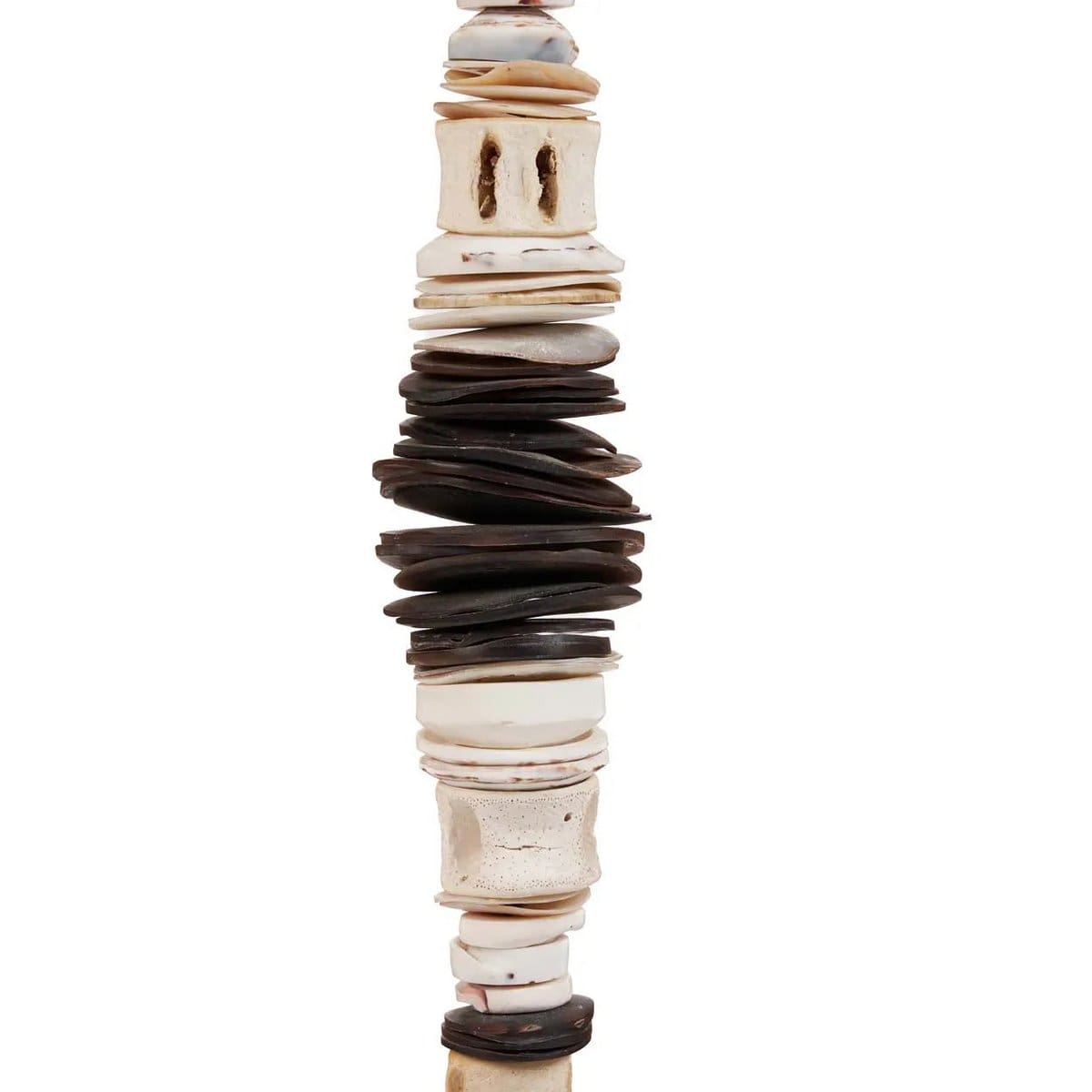 The Money Shell sur Pied – Noir Blanc – M