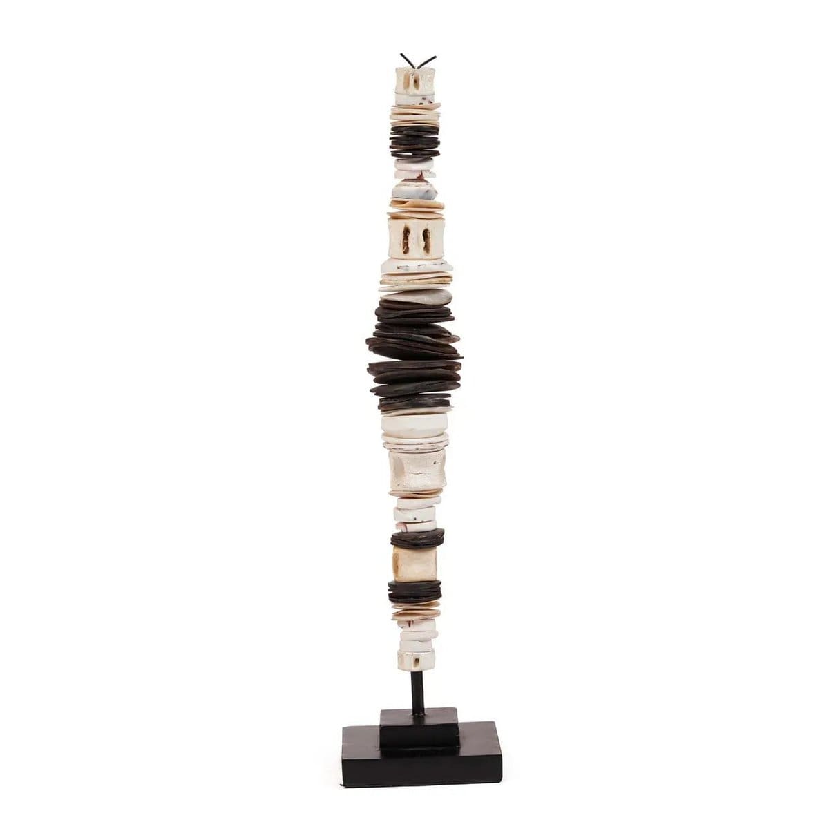 The Money Shell sur Pied – Noir Blanc – M
