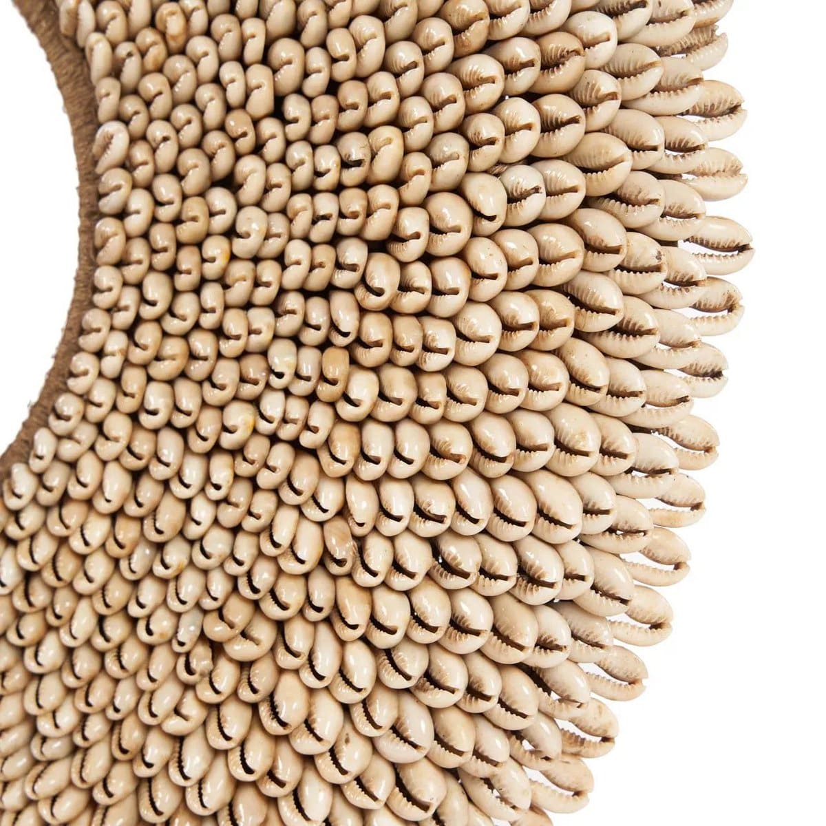 Objet décoratif Shell Réunion – Coquillages naturels sur socle (pièce artisanale neuve)