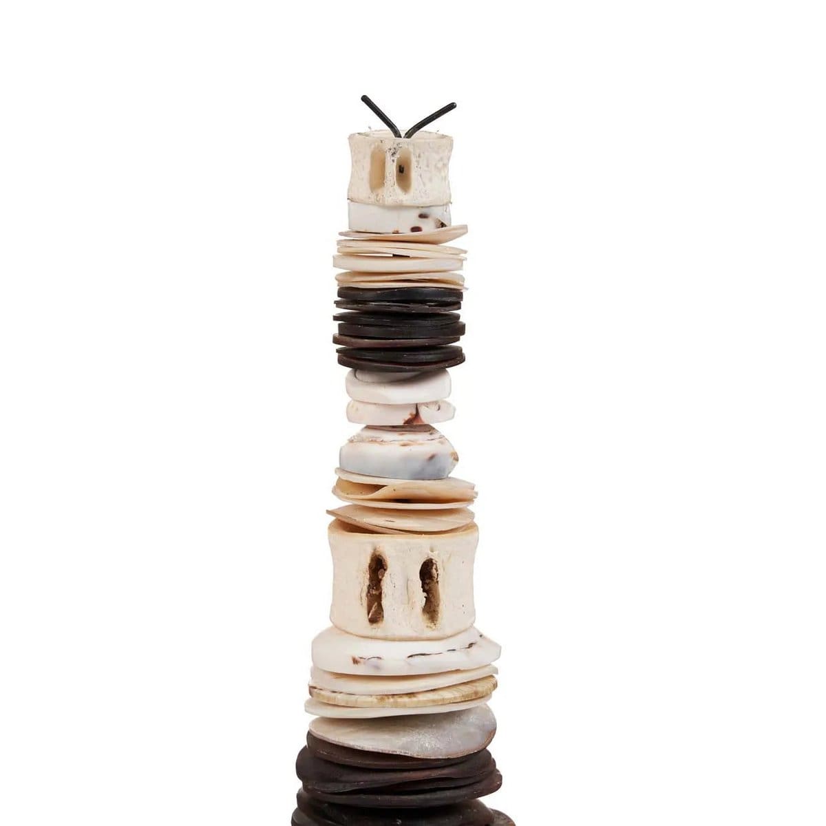 The Money Shell sur Pied – Noir Blanc – M