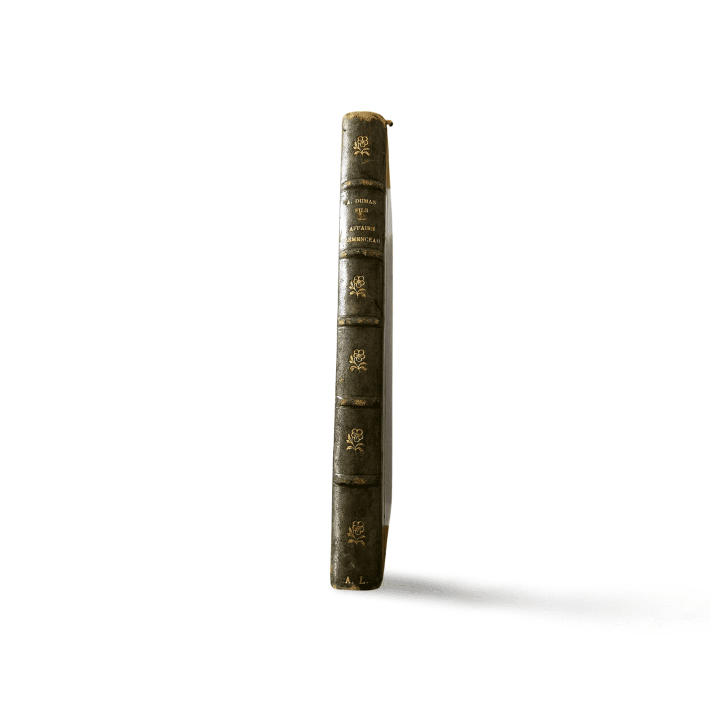 Affaire Clémenceau par Alexandre Dumas fils, édition Michel Lévy, 1866 (5e édition)