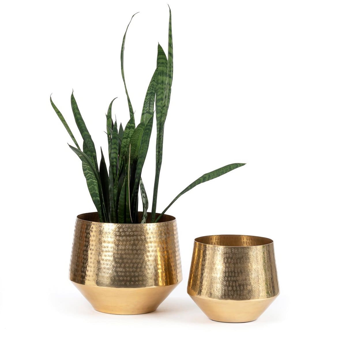 Jardinière Martelée – Laiton doré XL à la texture artisanale et forme élancée
