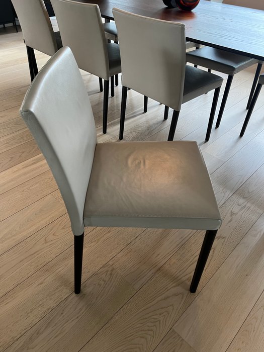 Walter Knoll - Chaise (8) - Cuir - Bois Jason Lite