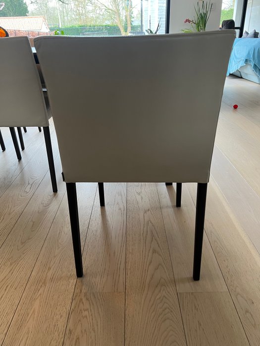 Walter Knoll - Chaise (8) - Cuir - Bois Jason Lite
