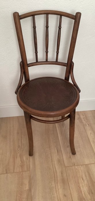 Cosmos - Chaise - Hêtre