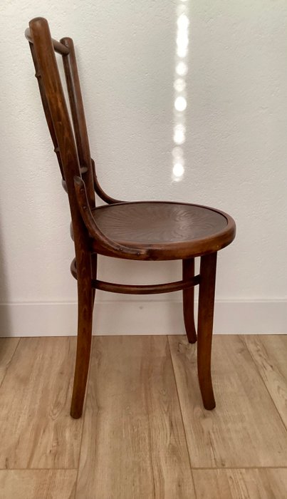 Cosmos - Chaise - Hêtre