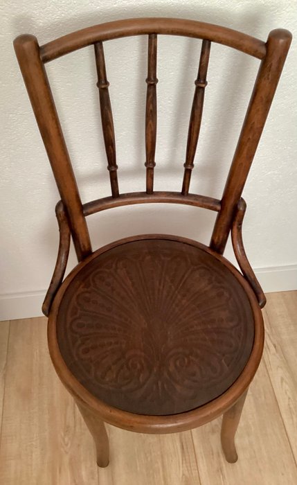 Cosmos - Chaise - Hêtre