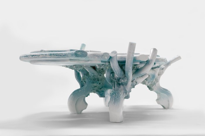 Table basse - Bois de pin - Tête de requin marteau gelée