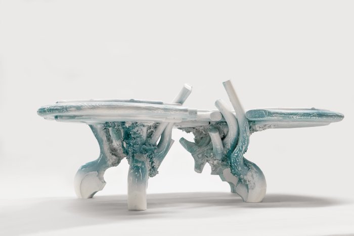 Table basse - Bois de pin - Tête de requin marteau gelée