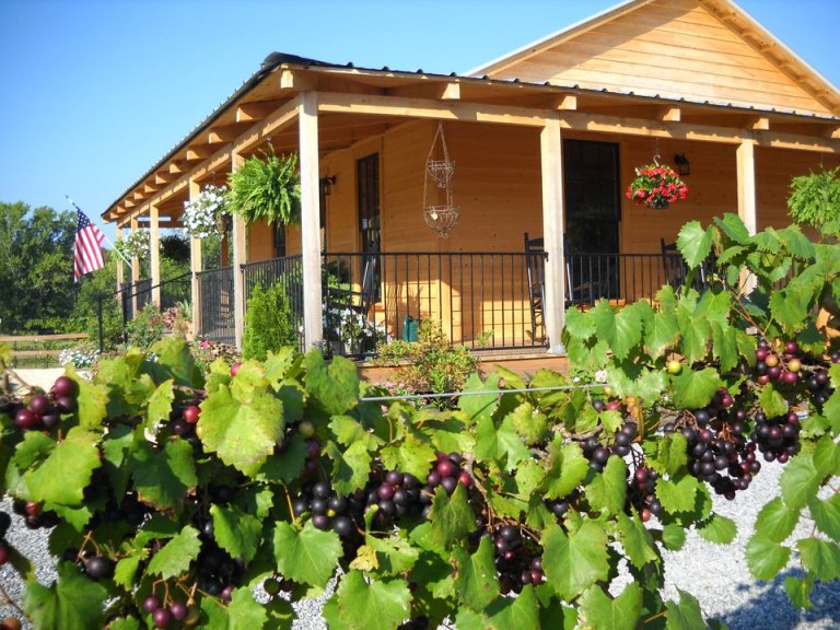 Check out these 8 impressive Alabama vineyards to visit Check out these 8 impressive Alabama vineyards to visit