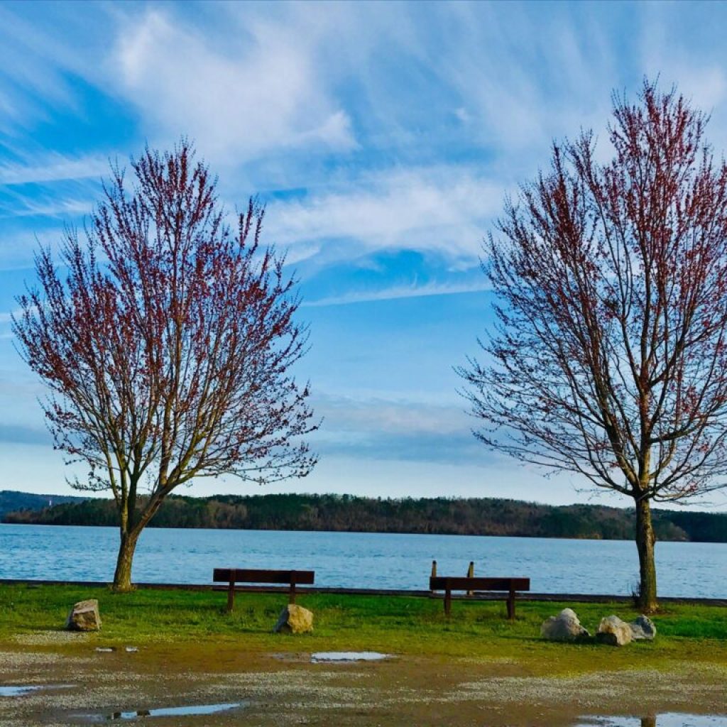 Breaking: Lake Guntersville ranked 9th most affordable lake town in America Breaking: Lake Guntersville ranked 9th most affordable lake town in America