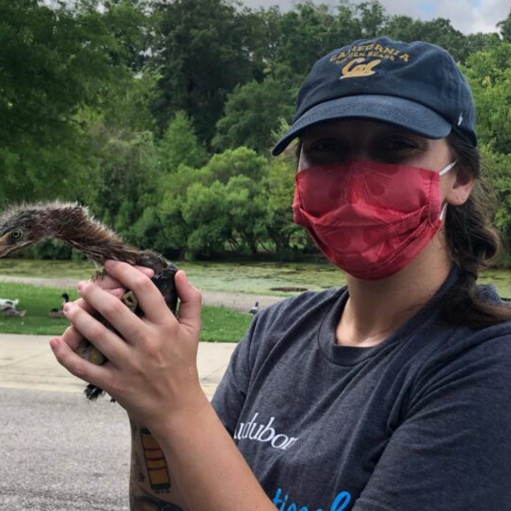 The Protect Our Birds tag helps you support Alabama’s birds—for free The Protect Our Birds tag helps you support Alabama’s birds—for free